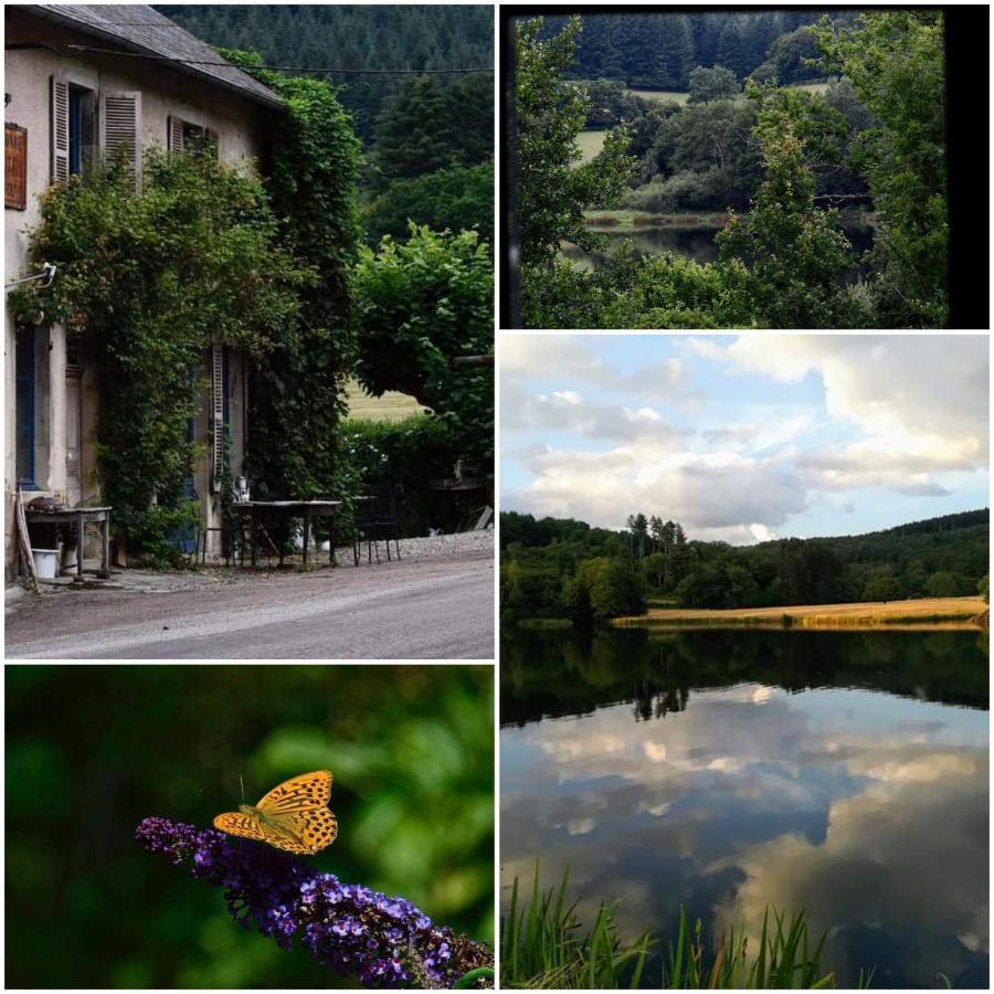 Chambres d'hôtes a l'étang d'Yonne Arleuf Exterior foto